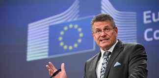 Guerre commerciale L’UE et la Corée du Sud en quête d’un accord avec Washington