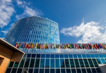 Investissements immatériels : les logiciels et bases de données en tête de la croissance mondiale