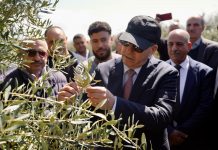 Province de Sidi Kacem : Ahmed El Bouari à la rencontre des projets agricoles et ruraux