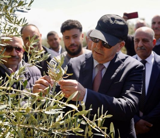 Province de Sidi Kacem : Ahmed El Bouari à la rencontre des projets agricoles et ruraux
