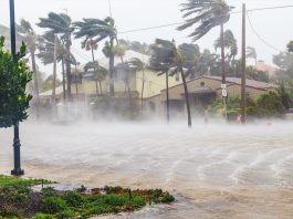 Catastrophes naturelles : un premier semestre 2025 parmi les plus coûteux depuis 1980